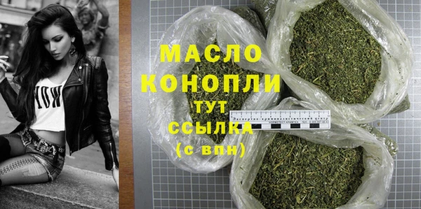 мдпв Краснослободск