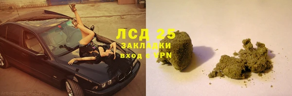 ГАЛЛЮЦИНОГЕННЫЕ ГРИБЫ Коряжма
