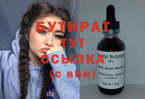 мдпв Краснослободск