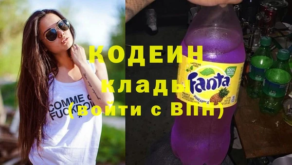 мдпв Краснослободск