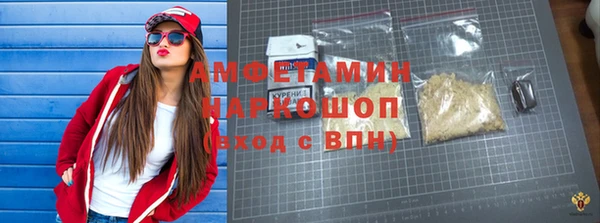 сатива Корсаков